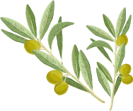 Al Barsha body massage